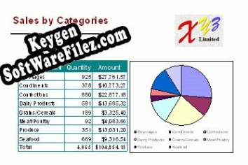 XLReportCom key generator